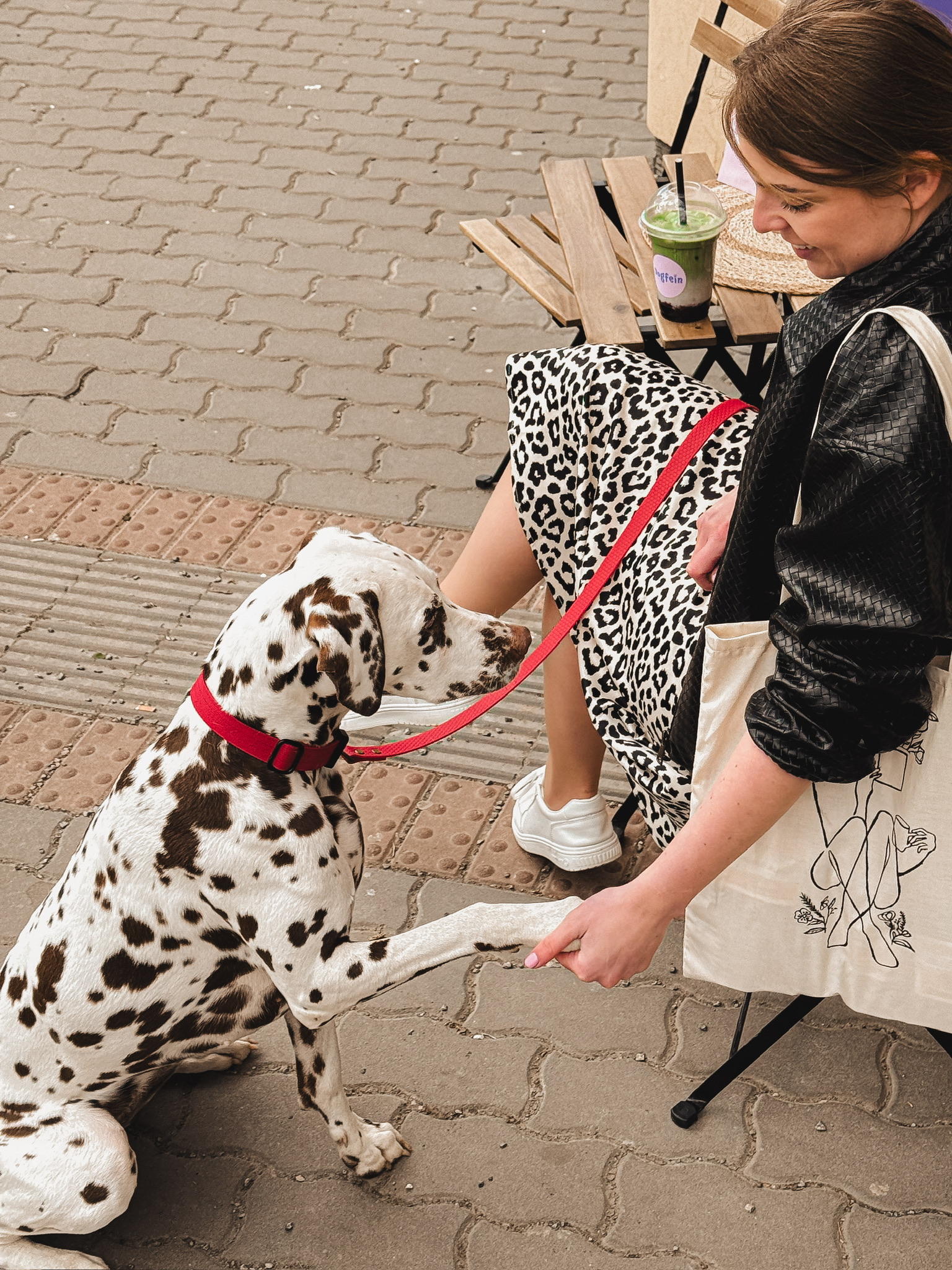 Posedenie aj priamo pred kaviarňou Dogfein